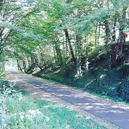 Du Bois De Bontemps Bed & Breakfast Sarlat-la-Canéda