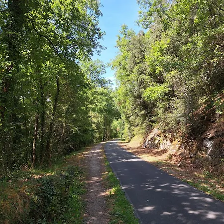Du Bois De Bontemps