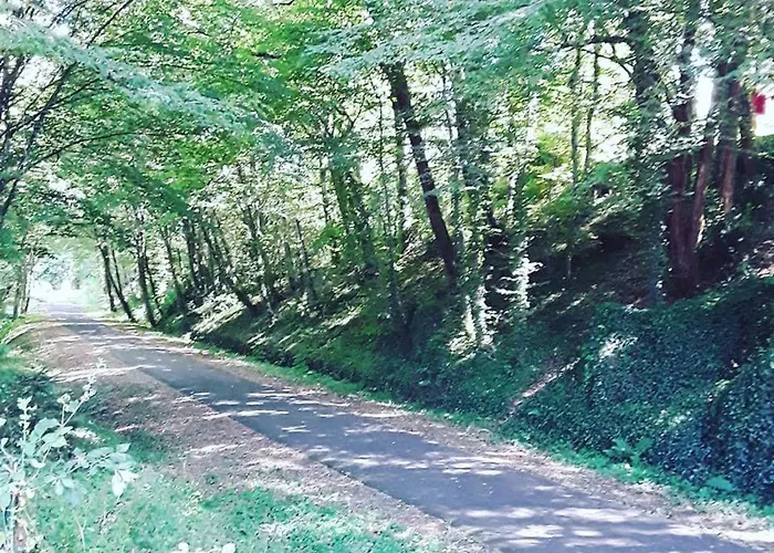 Du Bois De Bontemps Bed and breakfast Sarlat